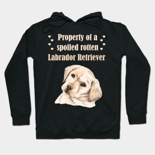 Property of a spoiled rotten Labrador Retriever! For Lab dog lovers! Hoodie